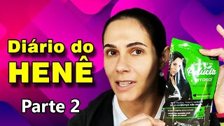 Diário do Henê - Pt 2