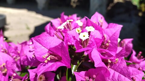 Novene zu Ehren von Gott Vater