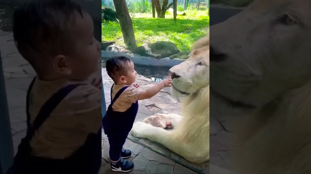 Wow heโs got balls make this go viral ๐| #shorts | #viral | #cute | #subscribe