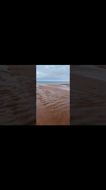 Ripples in the water at the beach