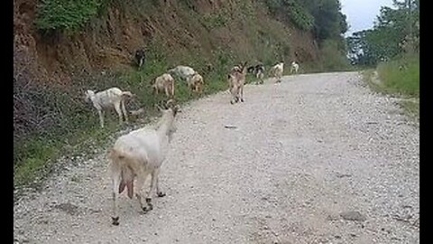 Cold Rain - Hiking in the Mountains of Veracruz (Mexico)