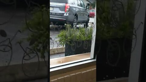 This #gangstalking trespassing non-customer came here, JUST to blind me & then leave!