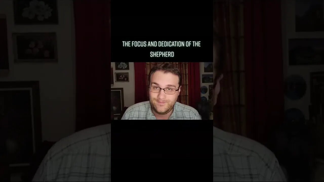 The Shepherd's Focus