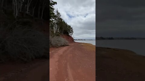 The beach stretching out before me