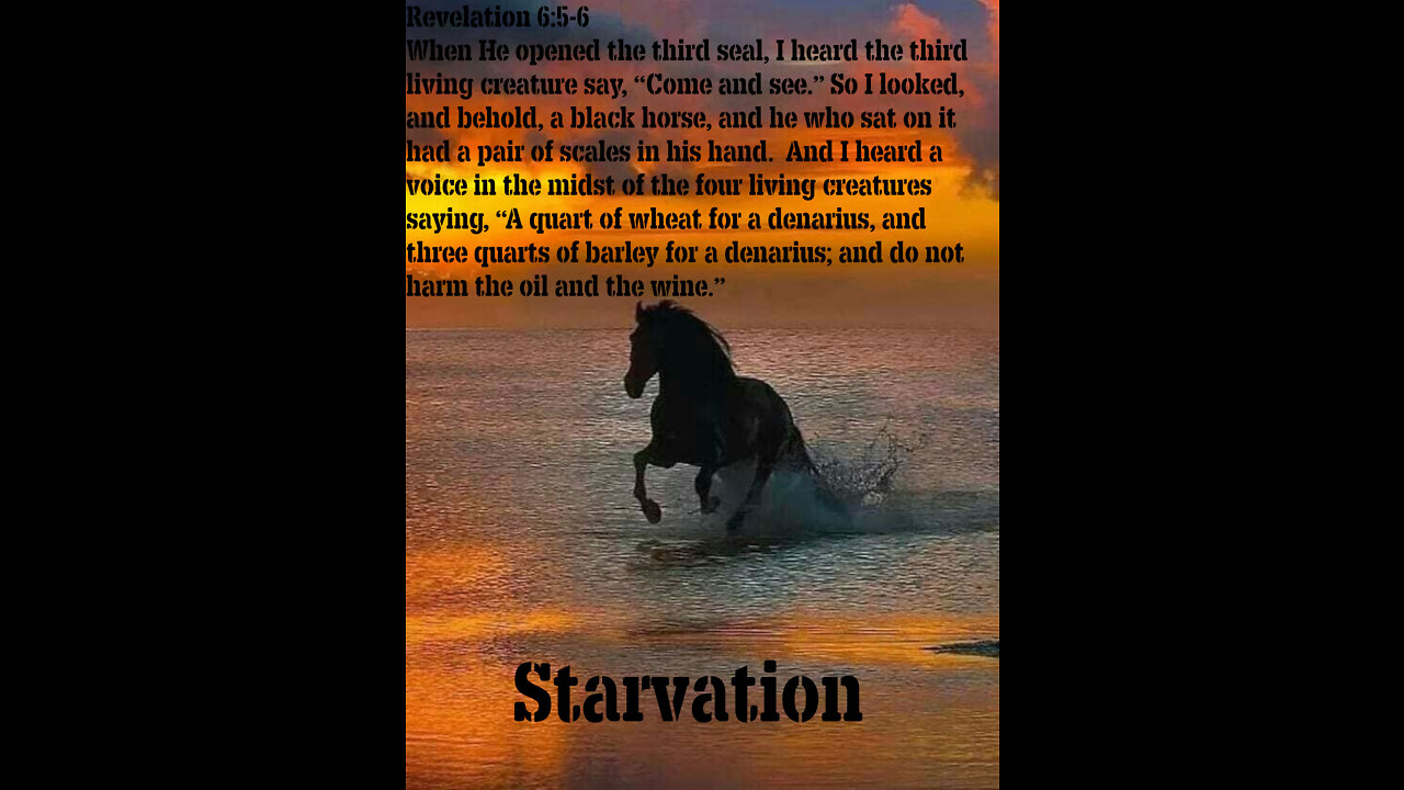 revelation discussion