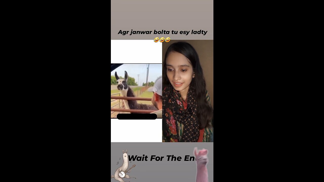 Janwar aur insan ki ladai 🤣