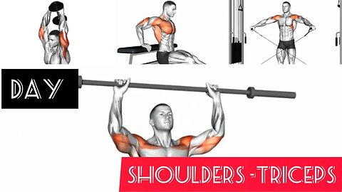 Workout shoulders and triceps (gym)