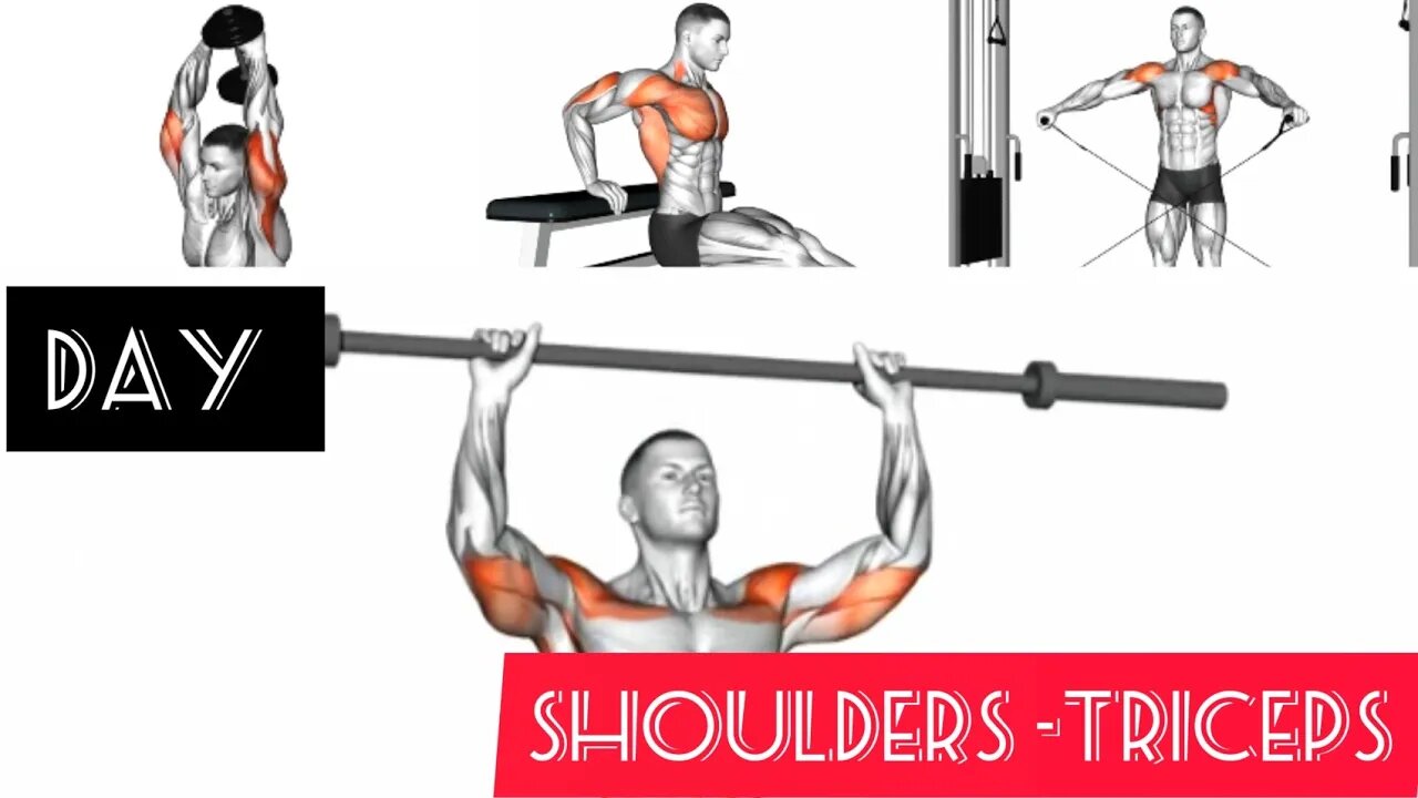 Workout shoulders and triceps (gym)