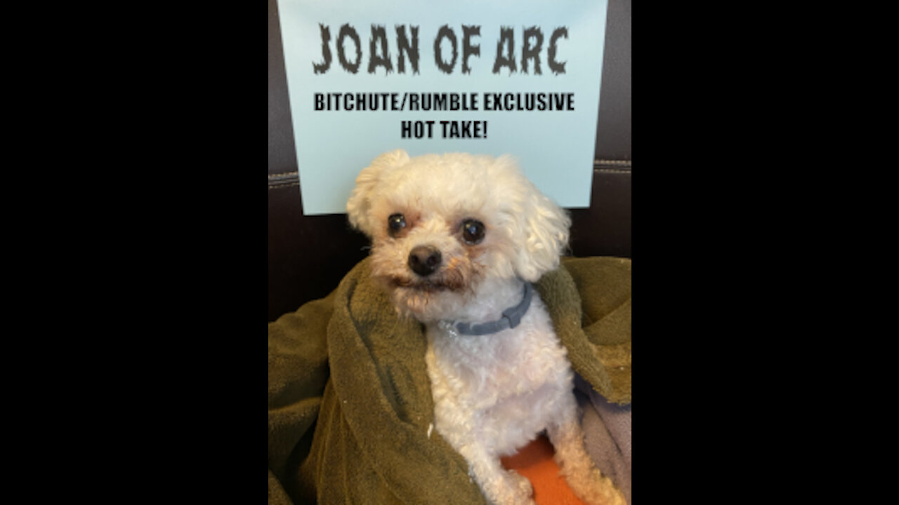 Rumble/Bitchute Hot Take Exclusive: Nov 14th News Blast!