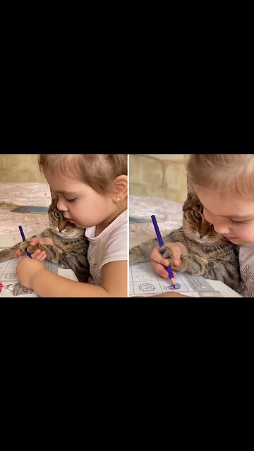 Little Girl Adorably Teaches Her Cat How To Draw