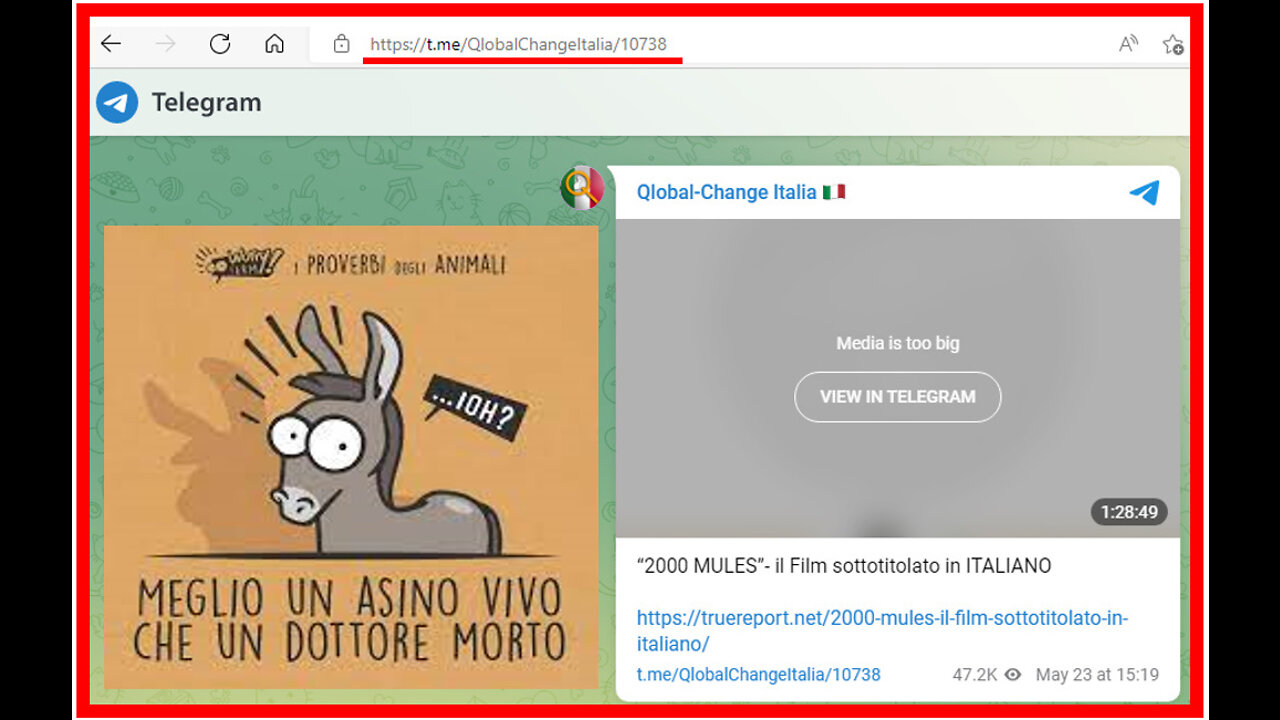 π¦βπ₯π¦βTrailer tratto dal documentario 2000 Mules π¦βπ₯π¦β che espone le frodi elettorali USA 2020 π¦βπ₯π¦β