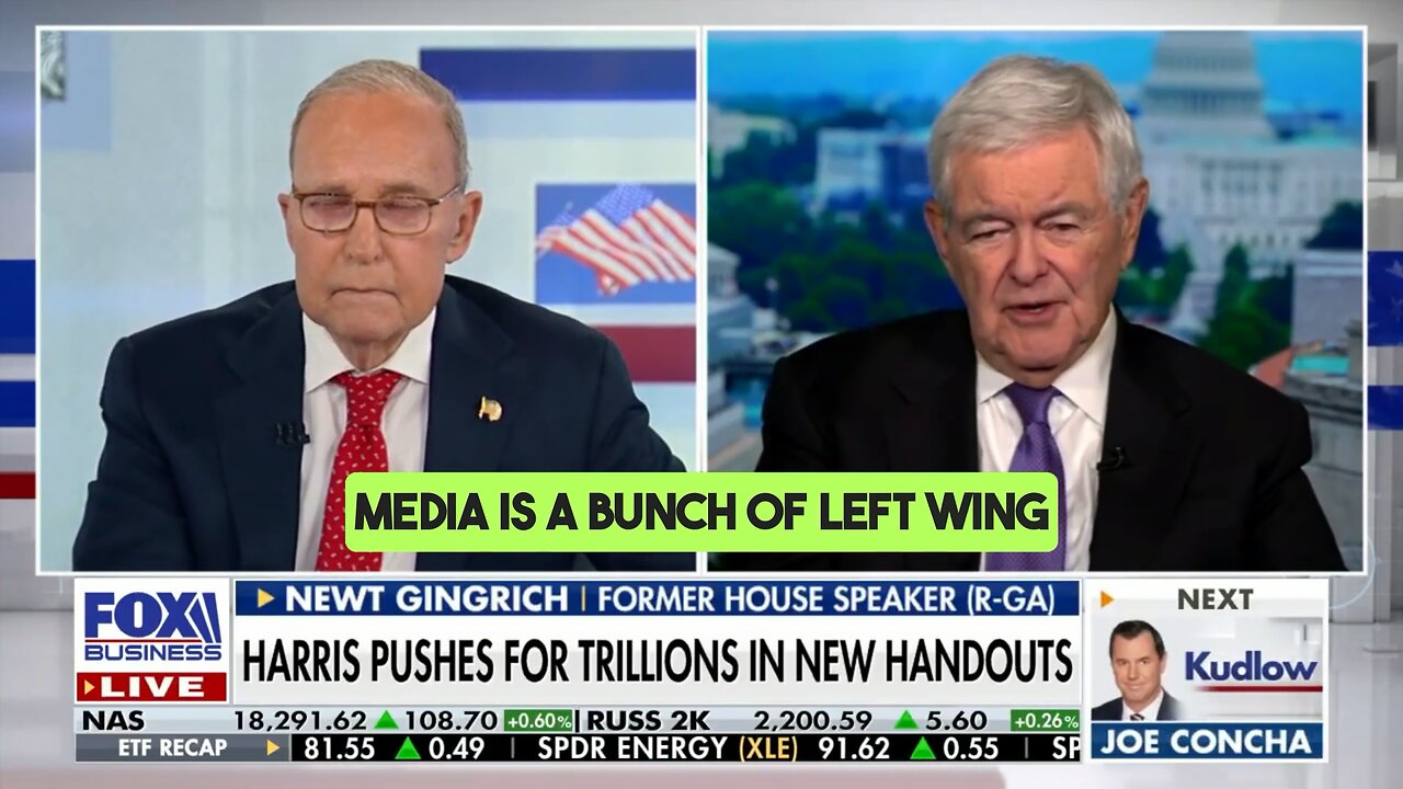 Gingrich: ‘Left-Wing Cuckoos’ in Media Distort Economic Reporting