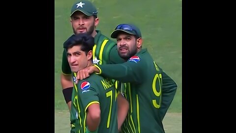 Cricket Lover