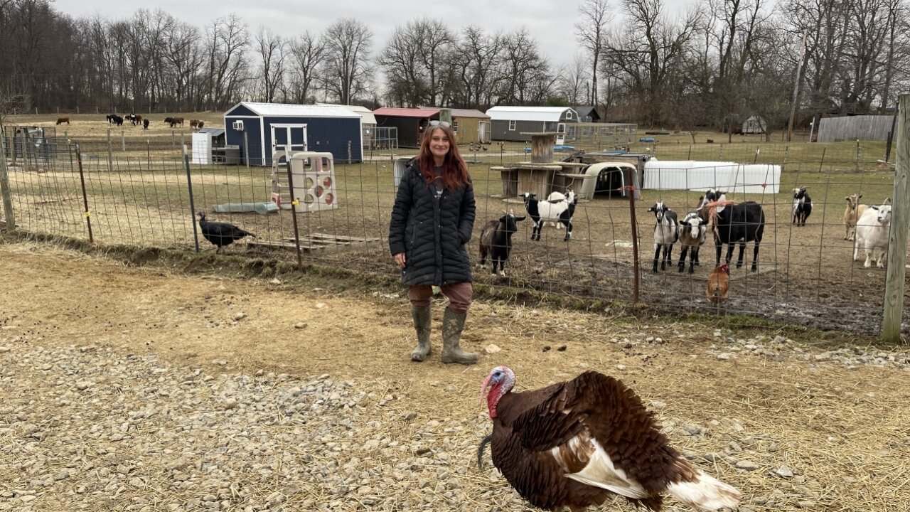 Rescue ranch evacuates hundreds of animals after Ohio train derailment