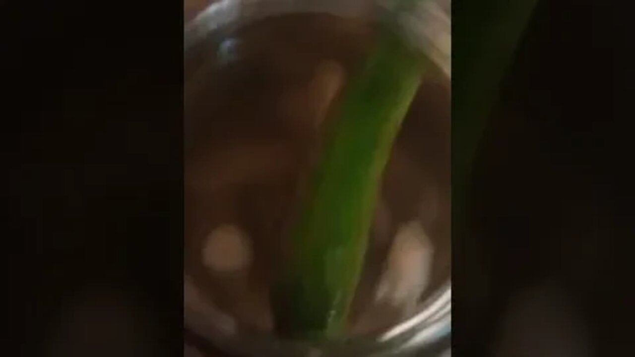 Lazy pickling