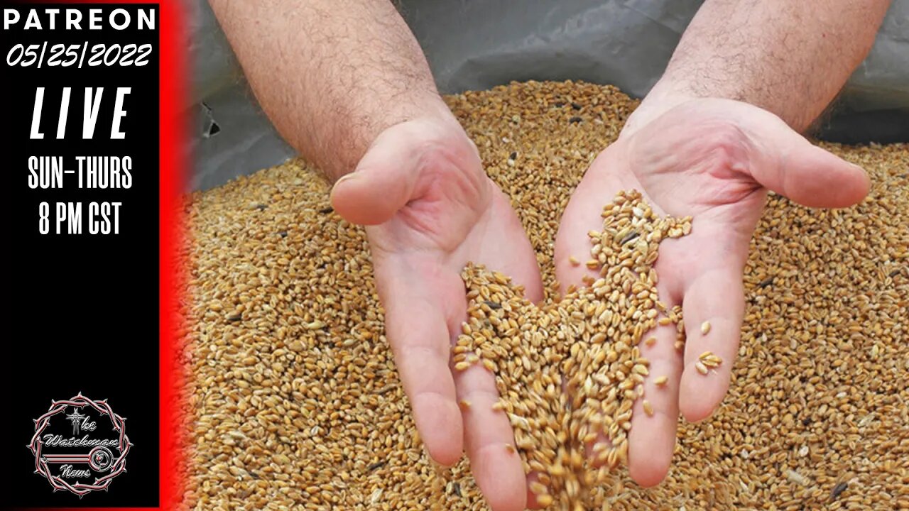 05/25/2022 The Watchman News - World Has Only 10 Weeks Of Wheat Supply Left, Expert Warns - News