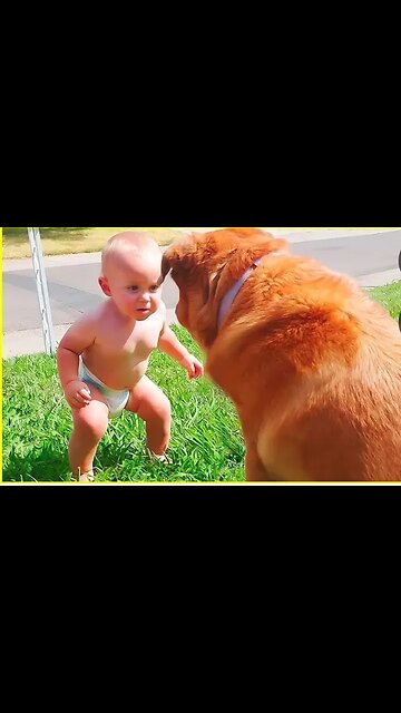 Funniest cute baby, Nothing impossible for kids
