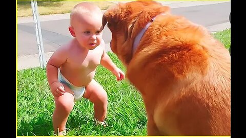 Funniest cute baby, Nothing impossible for kids