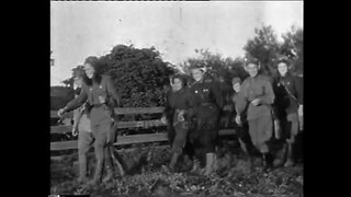 ww2 footage of the night witches