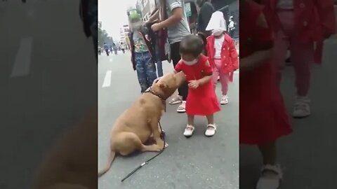 girl and dog