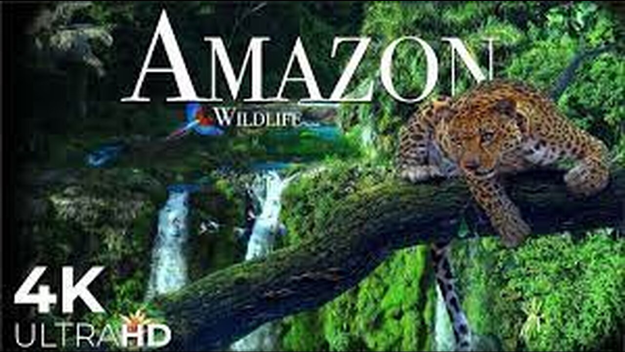 Amazon | 4k | The World’s Largest Tropical Rainforest