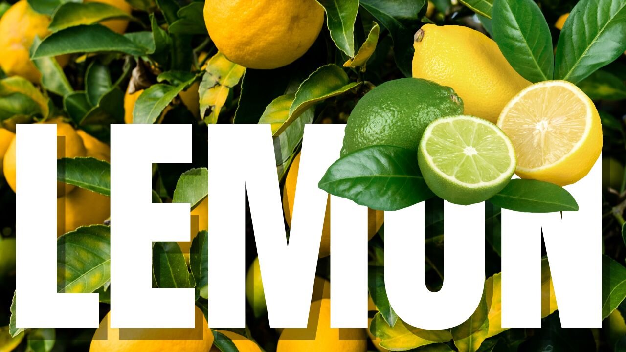 Lemon Garden: The Ultimate Lemon-Themed Experience! | Village Vibes