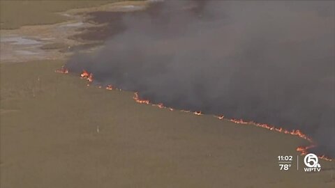 8,000 acres burning in the Everglades