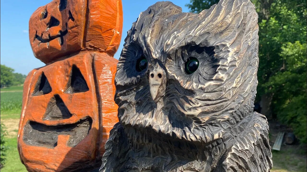 Halloween OWL Carving