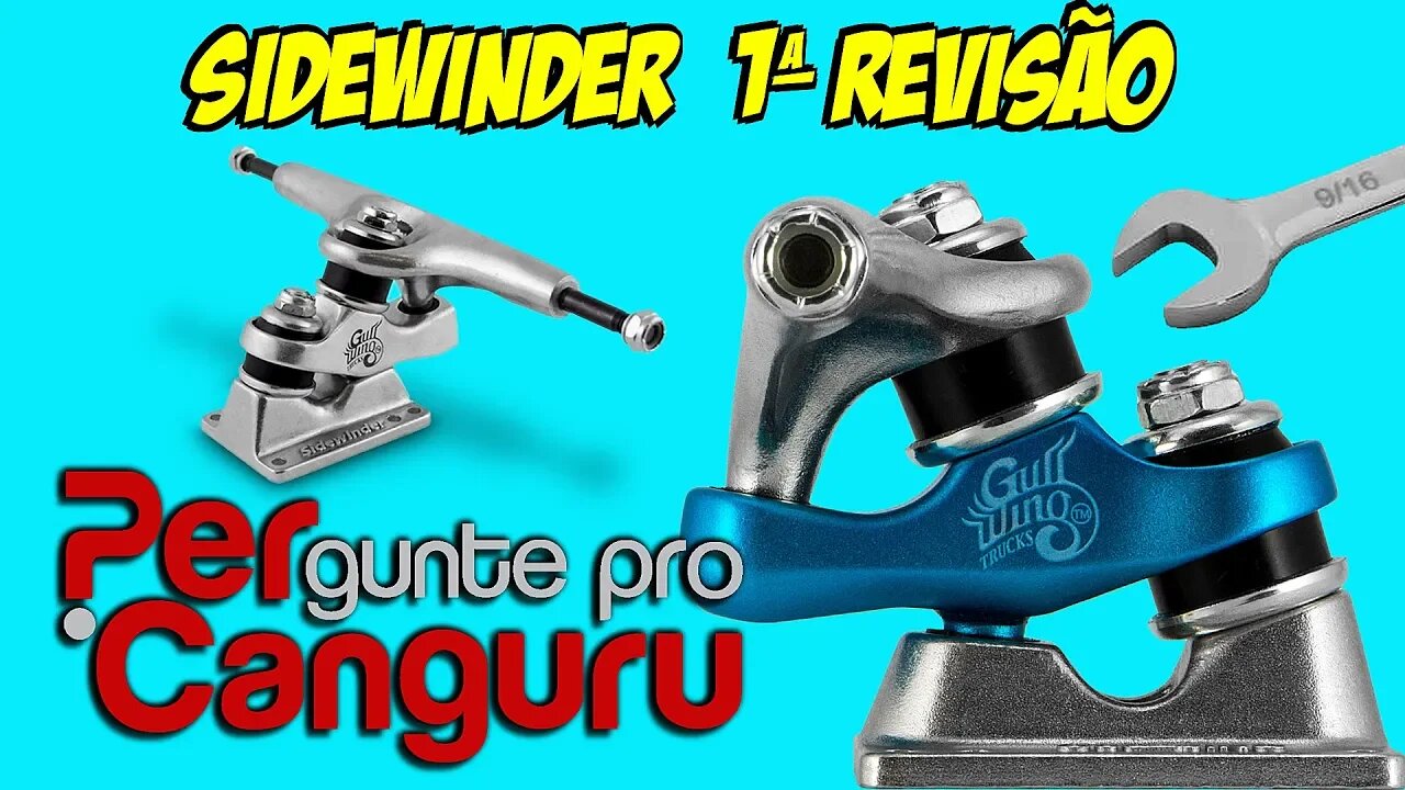 1ª revisão do Truck Gullwing Sidewinder - PERgunte pro CANGURU