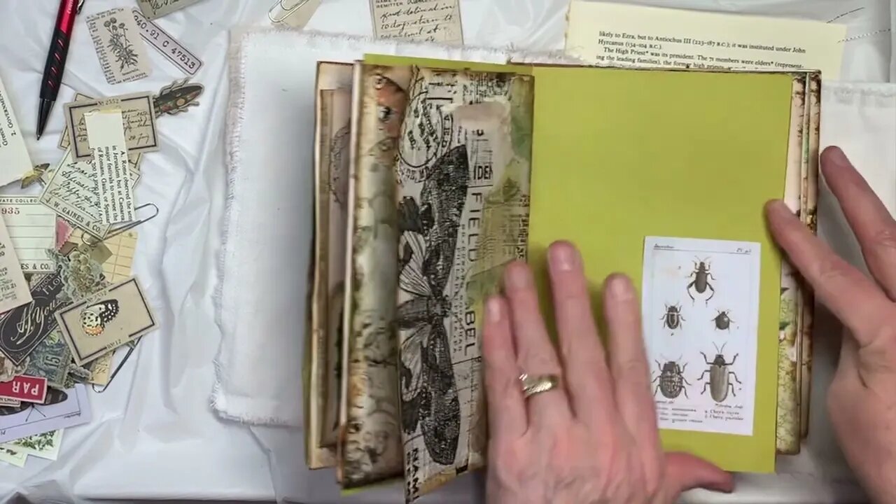 #14 Faith Field Notes- Finishing Touches