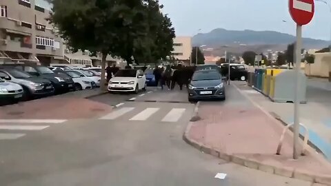 Families Flooding The Streets Of Italy