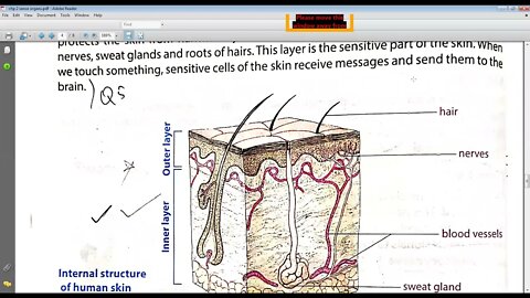 Science class 6 20 04 2021