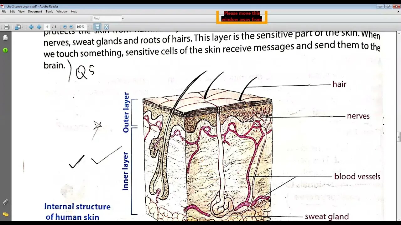 Science class 6 20 04 2021