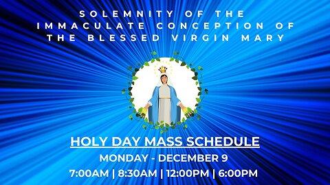 Solemnity of the Immaculate Conception of the Blessed Virgin Mary - A Special Message from Fr. Ryan