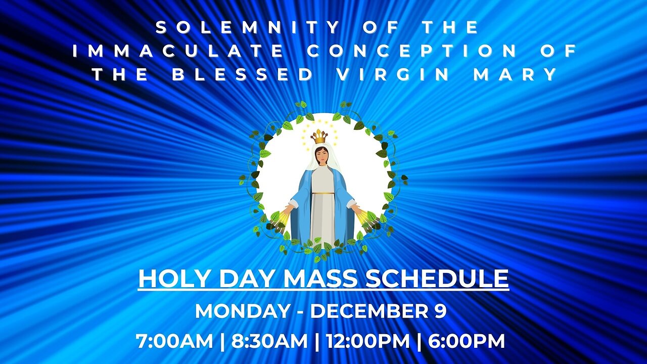 Solemnity of the Immaculate Conception of the Blessed Virgin Mary - A Special Message from Fr. Ryan