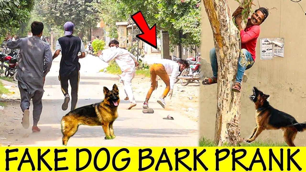 Real Dog Bark Prank @SmartiesPrankTV