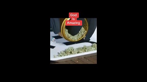 Herb medical