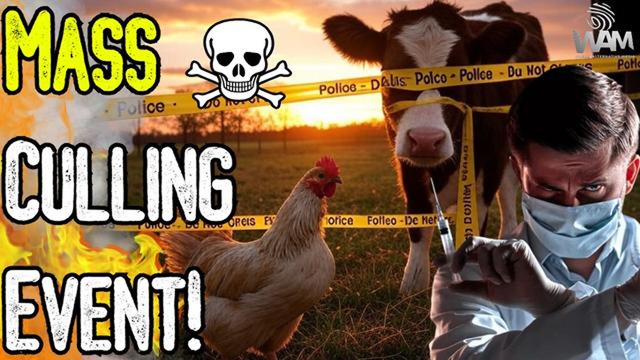 MASS CULLING EVENT! - Bird Flu Hoax Leads To Culling Of Millions Of Animals As Travel Alerts Issued!