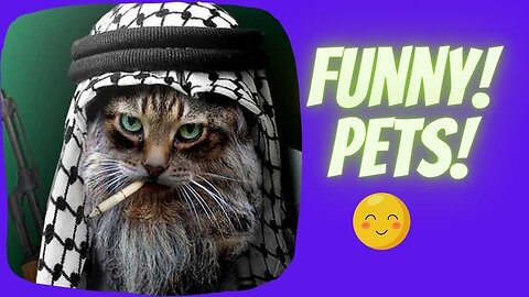 Cat funny short video🐈 | cat funny video 😅