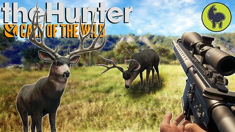 A Rare Sight (mule deer edition) Hunt Club Beta | theHunter: Call of the Wild (PS5 4K 60FPS)