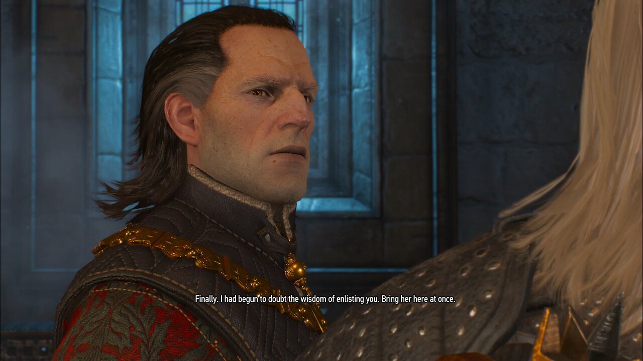 The Witcher 3 brothers in arms vizima