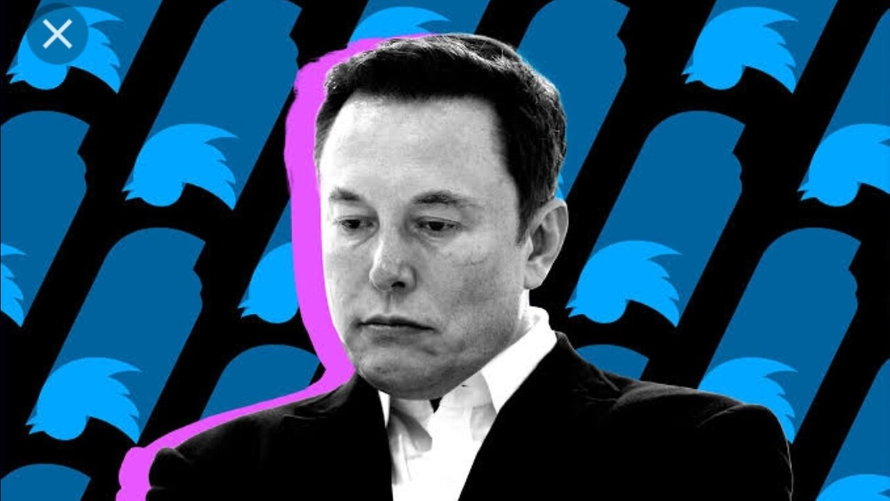 Twitter Changes || Its Blue Bird Logo To Doge Meme|| :- aElon Musk Tweets About Change.