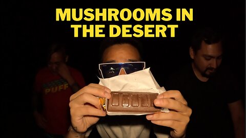 Chocolate Mushrooms in the Desert