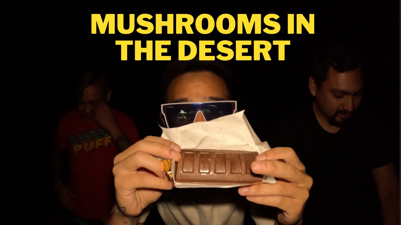 Chocolate Mushrooms in the Desert