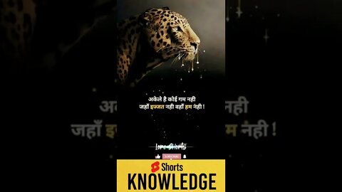 Motivational Quotes Intresting Facts lifestyle #shorts #motivation #ytshorts #knowledge