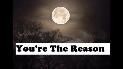 You're The Reason