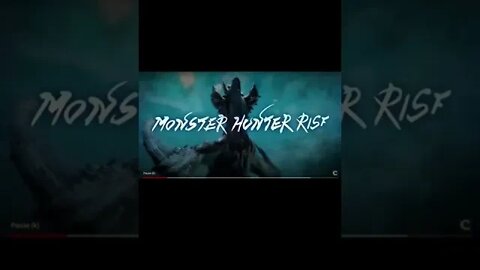 MONSTER HUNTER RISE