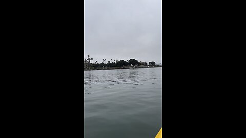 Kayaking Channel Islands Harbor