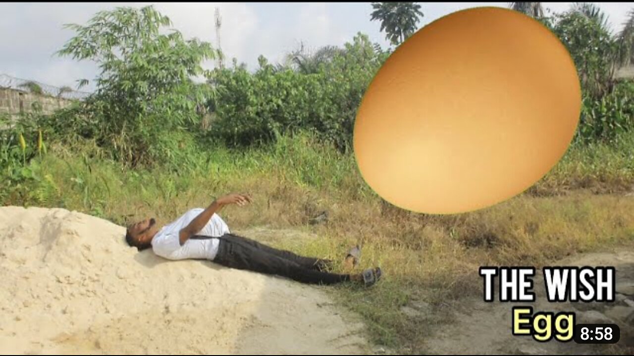 WISH EGG || Y LIGHT COMEDY