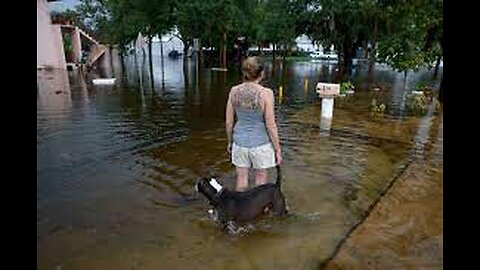 Hurricane Idalia makes landfall as Category 3 storm